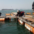 평촌낚시터 이미지