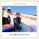 옥동270 | 울산 가성비 눈썰매장 3천원으로 스케이트 입장료 장비 대여까지