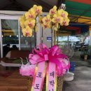 재우농장 이미지