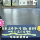 우쭈쭈플렉스 강아지 유치원 호텔 이미지