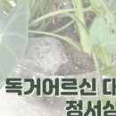 만석동 행정복지센터 이미지