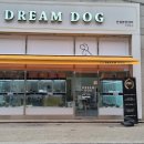 드림독강아지고양이안심분양센터 네이버블로그