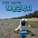해송모텔 | 화성 궁평항 아이랑 갯벌체험 후기 해송 군락지 주차장, 화장실, 물때 시간표 보는 법