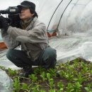 웰빙산약초공동체 이미지