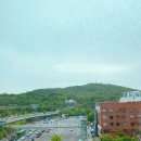 청쌤의 바디랩 이미지