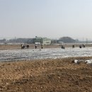 운수대통 생거진천전통시장 이미지