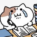 원셀학원