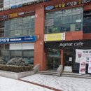 마리오푸드 이미지