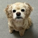 (주)썬칩스튜디오 | 부지런과 게으름 사이