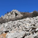 달마고도 이미지