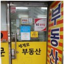 세계로공인중개사사무소 이미지