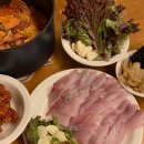 스테이캄드 티스토리