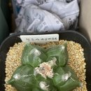 봉옥농장 이미지