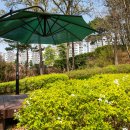 금잔디 어린이공원 이미지