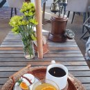 내속목장 | 나홀로 제주여행8일차 (너와의첫여행,아침미소목장,육도담,아르떼뮤지엄,바다속고등어쌈밥)