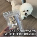 디디디아이 | 단대오거리 애견수제간식 ddd-i(디디디아이) 재방문 후기