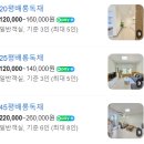 배롱나무 독채스테이 | 제주 서귀포 독채 가성비 숙소 “배롱나무 독채 스테이” 25평 배롱독채 후기