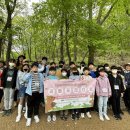 숲 체험 리틀 포레스트 이미지