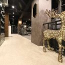 더 스페셜짐 이미지