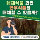 한우랑식품