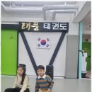 한국체대 건강한태권도 이미지