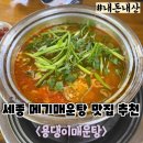 용댕이매운탕 | 세종 연동 용댕이매운탕 메기매운탕 내돈내산 후기