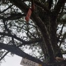 수산리마을회관 이미지