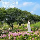 지산충전소 | 경북 수국 명소 구미 다온숲 주차장 대구 근교 여름 꽃구경 가볼만한곳