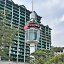 마운틴262 | 홍천 소노캄B 리조트 가족여행 호캉스 소노펠리체 CC 비발디파크 마운틴 후기