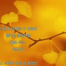 오복 Daum카페