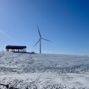 삼포목장 이미지