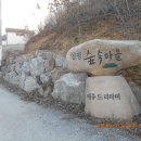 남한숲속 이미지