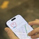 (주)인포가이드코리아 | 미국 뉴욕 신혼여행 유엔(UN)본부 가이드 투어 내돈내산 후기