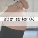 바이오 메디드림 | 임신 중기 증상 총정리 (4) - 환도선다 변비 치질 정보 정리