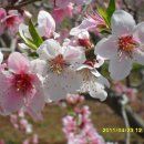 동수농장 이미지