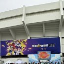 250506 두산전 직관후기 오스틴을 사랑하고 걱정하고