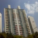 ‘9년 전세법’ 지역 부동산도 논란 이미지