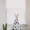 숲속의강아지 이미지