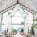 빌라드화이트 이미지