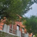 엠마오사랑병원 이미지