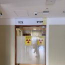 [임신준비] 마리아플러스 나팔관조영술 후기(통증, 비용)