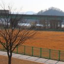 군민체육공원 인라인스케이트장 이미지