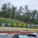 댕마카세 | 대구 반려견 놀이터 방문 후기 - 별점 몇점?