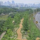 중랑천 이미지