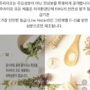 주앤빈