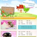 강아지천국 이미지