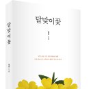 ＜신간＞ 인생의 후반부에서 다시 찾아온 과거 첫사랑! 「달맞이꽃」 (정훈 저 / 보민출판사 펴냄) 이미지