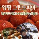 그린토피아 이미지