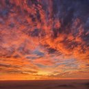 넥스트 게임스 | [독서 후기 | 경영.경제 | 주식 투자] “데모테크가 온다”를 읽고