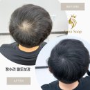 더숲smp